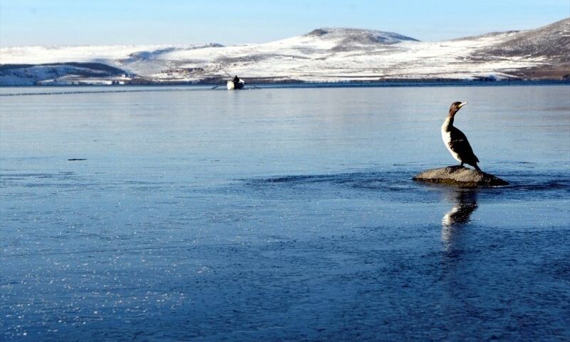 Doğu Ekspresi Rotası: Van,Kars,Erzurum,Palandöken Turu(4 Gece otel konaklaması)
