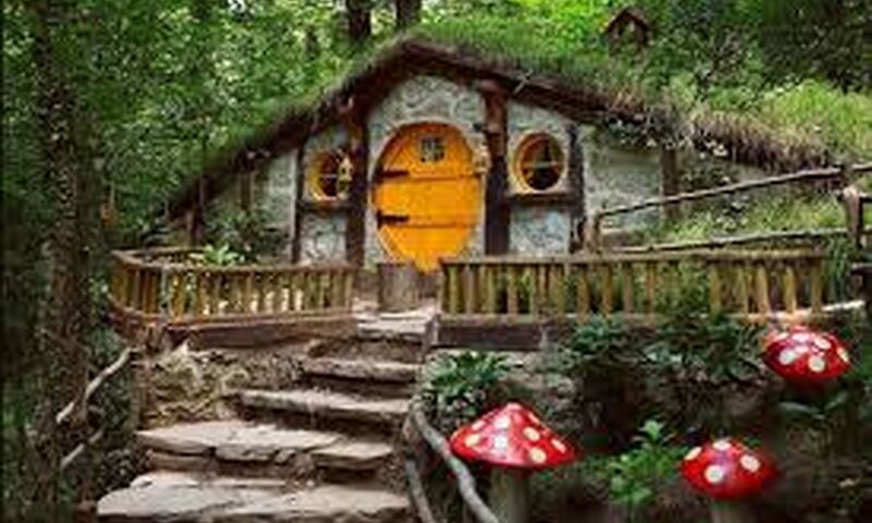 Abant Gölü - Kartalkaya & Kartepe Kayak Merkezi Ormanya Hobbit Evleri Turu(2 Gece konaklamalı)