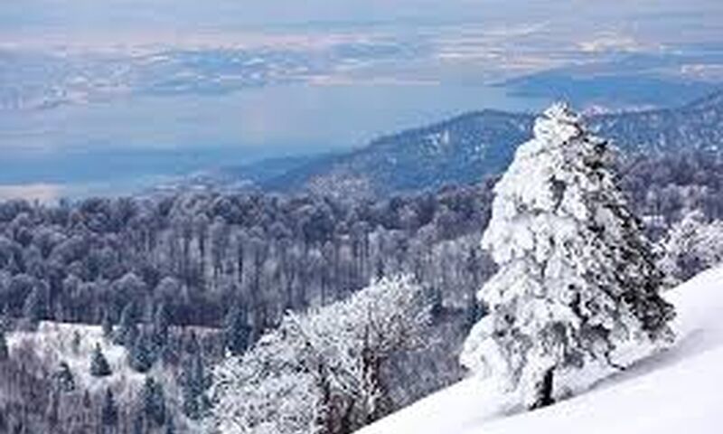 Günübirlik Ormanya, Maşukiye, Kartepe Kayak Merkezi Turu